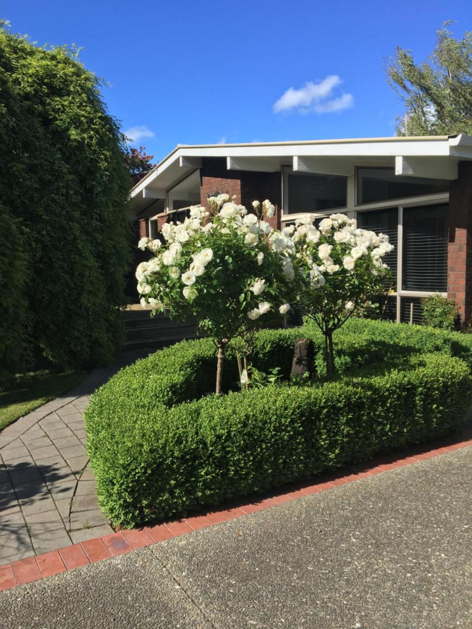 Quiet Boutique Generous Breakfast Hotel Palmerston North Ngoại thất bức ảnh